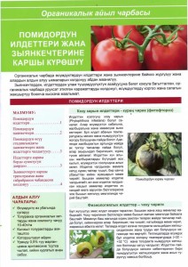 The fight against pests and diseases of tomato.