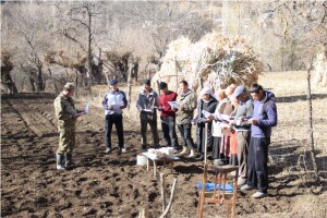 Без заголовк