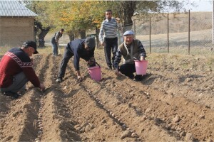 Без заголовка--